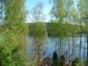 gallnas35620_small.jpg