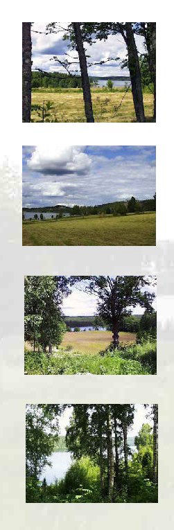 Sweden experience