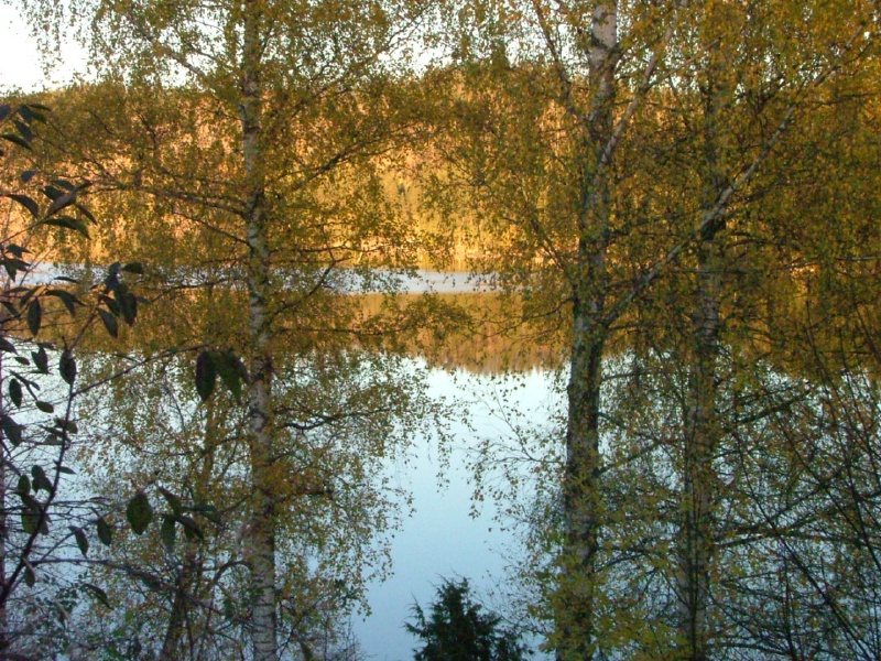 lake revealing