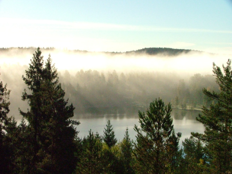 Swedish mist