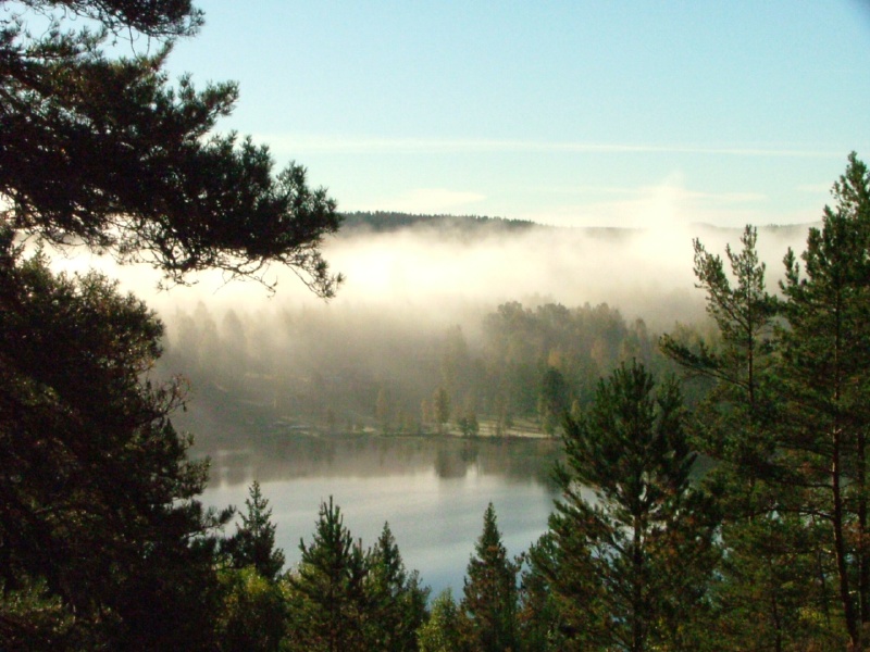 mysterious misting