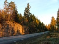 Bengtsfors road