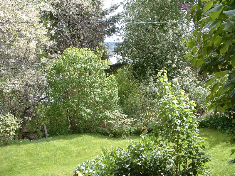 gallnas garden