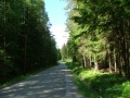 shaded way