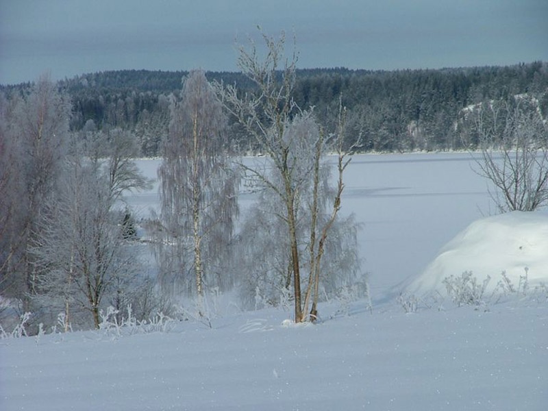 frozen lake close to the house